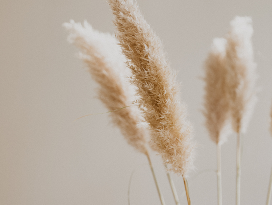 5 Things Every Living Room Should Have