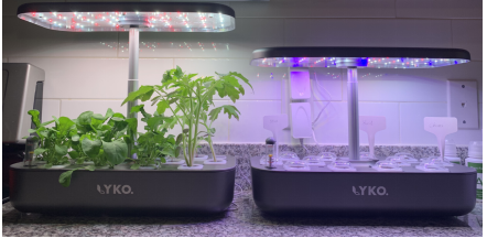 Setting Up the LYKO Hydroponic system A Step-by-Step Guide Part III