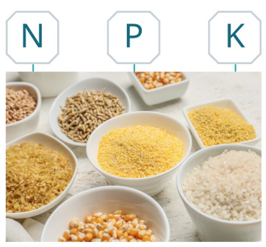 The science of plant food Part I