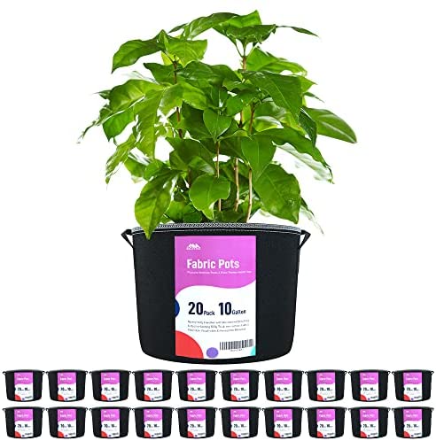 Grow Bags 20 Gallon 6 Pack, LYKO Fabric Pots for Plants Heavy Duty Thi